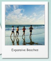 Expansive Beaches